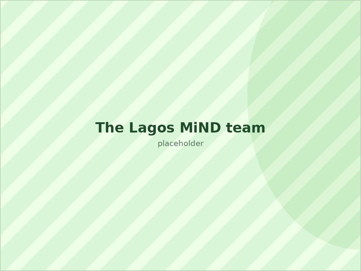 The Lagos MiND team at work in Alausa