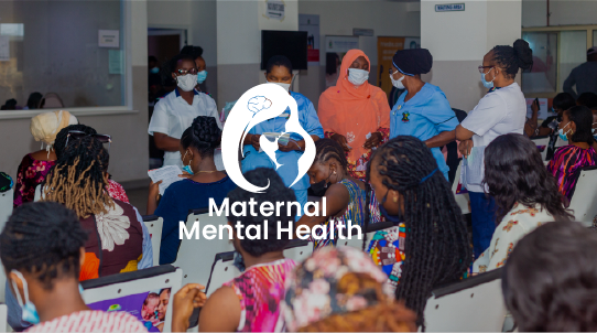 Maternal Mental Health Program